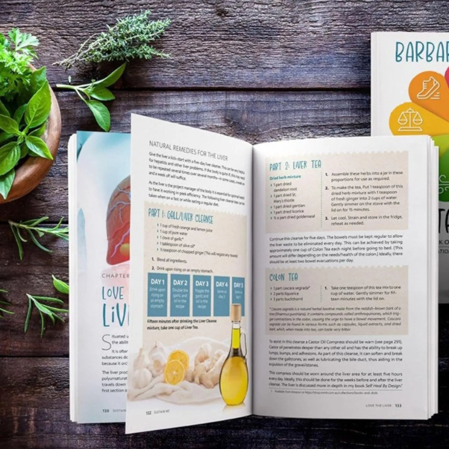 New O'Neill Sustain Me: A Handbook Of Natural Remedies