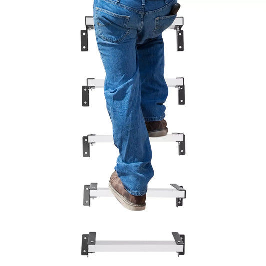 Wall Mounted Ladder Emergency Escape
