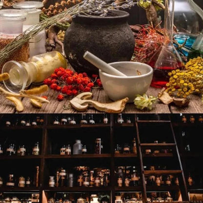 Natural and Herbal Solutions for Lasting Daily Wellness