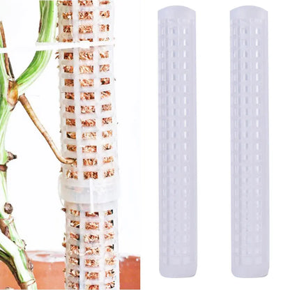 25cm Climbing Plant Pole